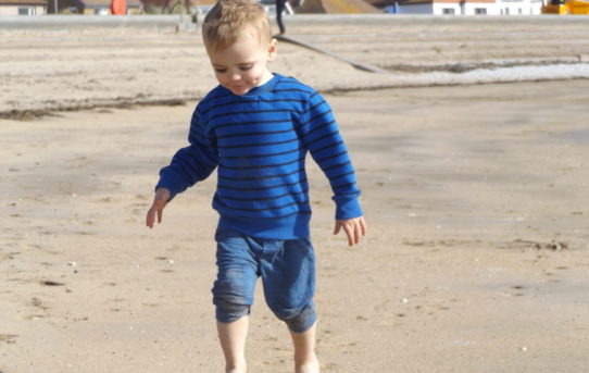 The Importance of Milk Protein in the First 1000 Days |AD