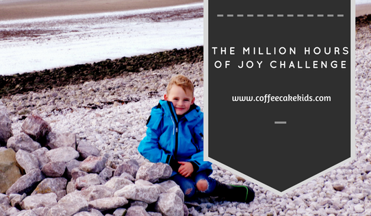 The Million Hours of Joy Challenge
