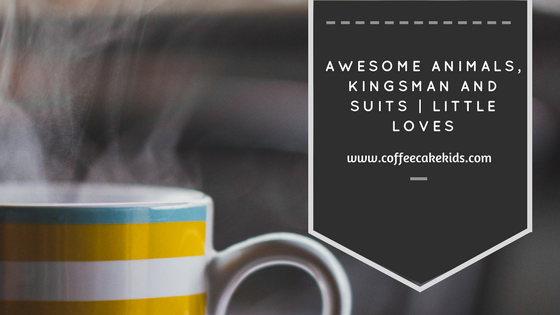 Awesome Animals, Kingsman and Suits | Little Loves