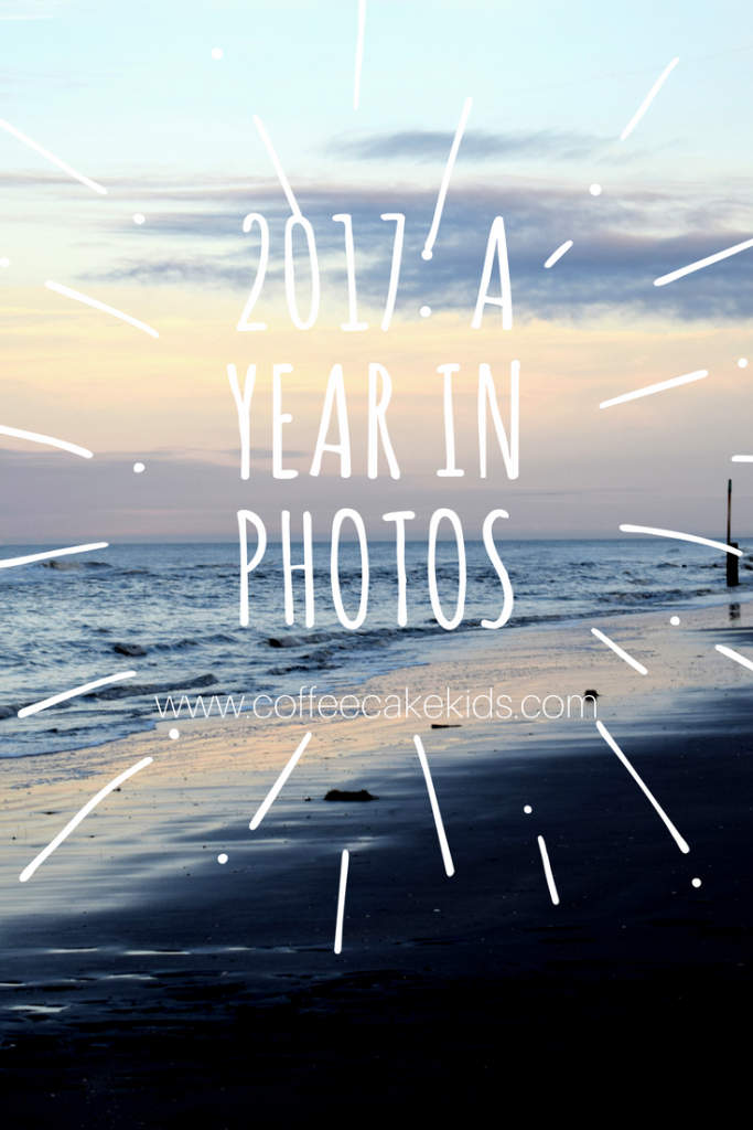 2017 THE YEAR IN PICTURES visual data 5