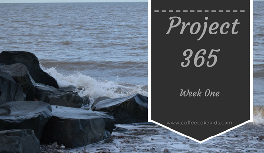 365 Project: Week One