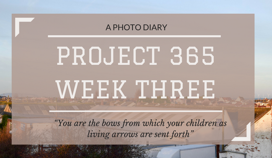 Project 365: Week Three