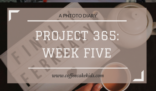Project 365: Week 5