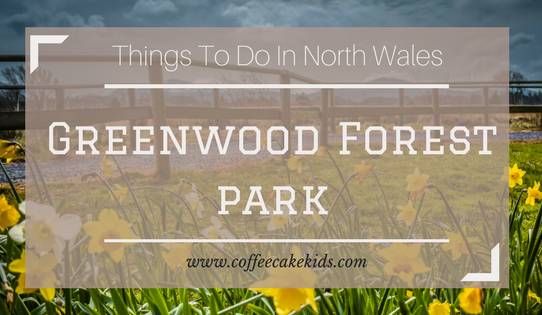 Things To Do In North Wales | Greenwood Forest Park