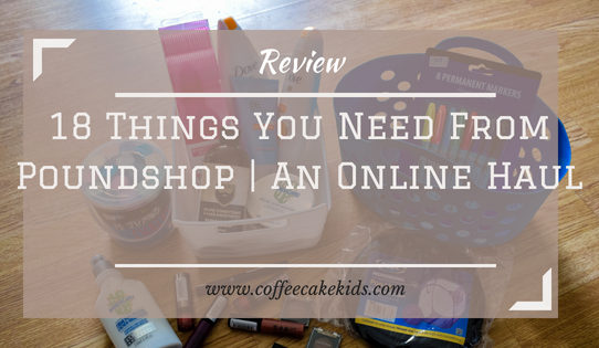 18 Things You Need From Poundshop | An Online Haul