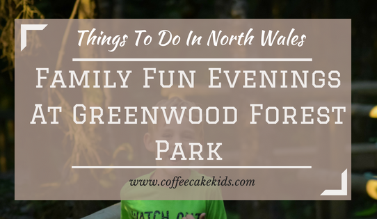 Things to Do In North Wales | Family Fun Evenings At Greenwood Forest Park