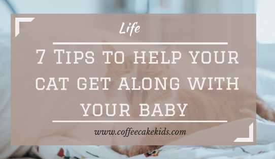 7 Tips To Help Your Cat Get Along With The Baby