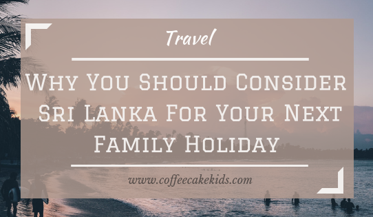 Why You Should Consider Sri Lanka For Your Next Holiday