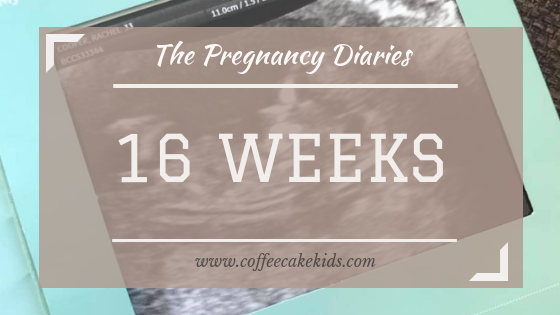 16 weeks pregnancy diaries