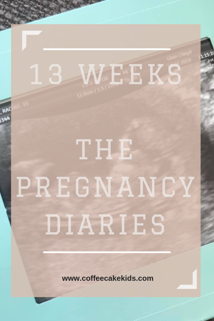 13 Weeks Pregnant | The Pregnancy Diaries