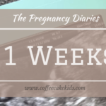 21 Weeks | The Pregnancy Diaries