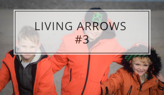 Living Arrows #3