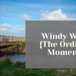 Windy Walks {The Ordinary Moments}