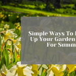 Simple Ways To Brighten Up Your Garden In Time For Summer
