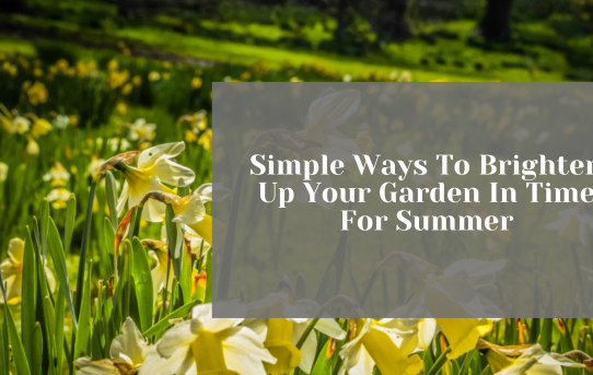 Simple Ways To Brighten Up Your Garden In Time For Summer