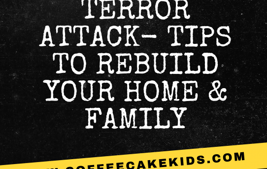 Life After A Terror Attack- Tips To Rebuild Your Home & Family